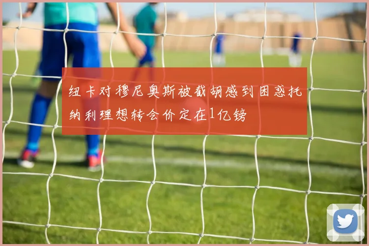 纽卡对穆尼奥斯被截胡感到困惑托纳利理想转会价定在1亿镑