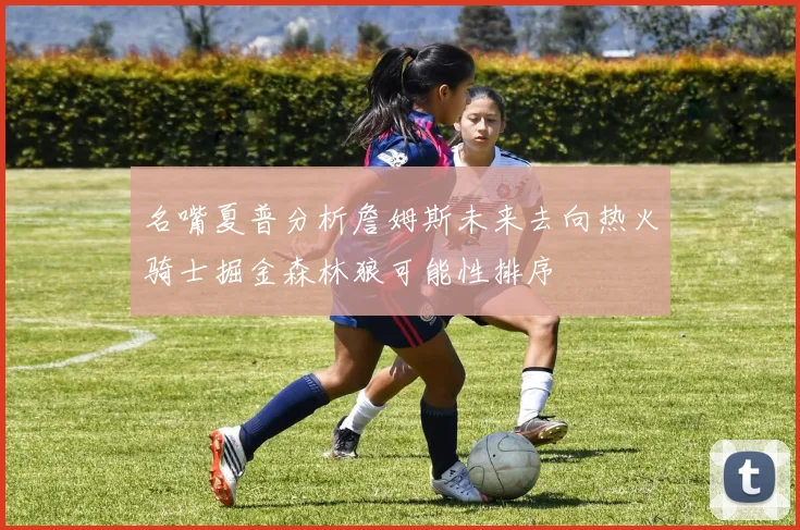 名嘴夏普分析詹姆斯未来去向热火骑士掘金森林狼可能性排序