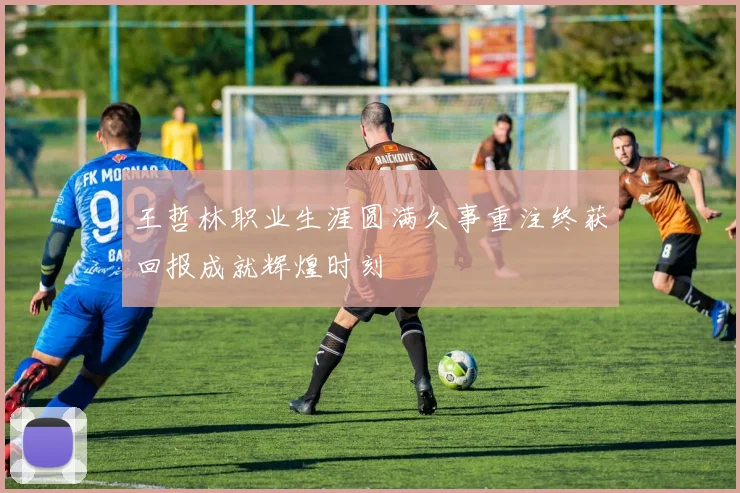 王哲林职业生涯圆满久事重注终获回报成就辉煌时刻